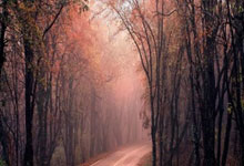 开云体育官网-西雅图海湾者战术调整显效，力争世俱杯更好名次