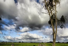 开云体育平台APP-波斯铁骑破茧！绿茵风暴席卷亚洲之巅