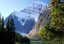 开云体育平台APP-波斯铁骑破茧！绿茵风暴席卷亚洲之巅