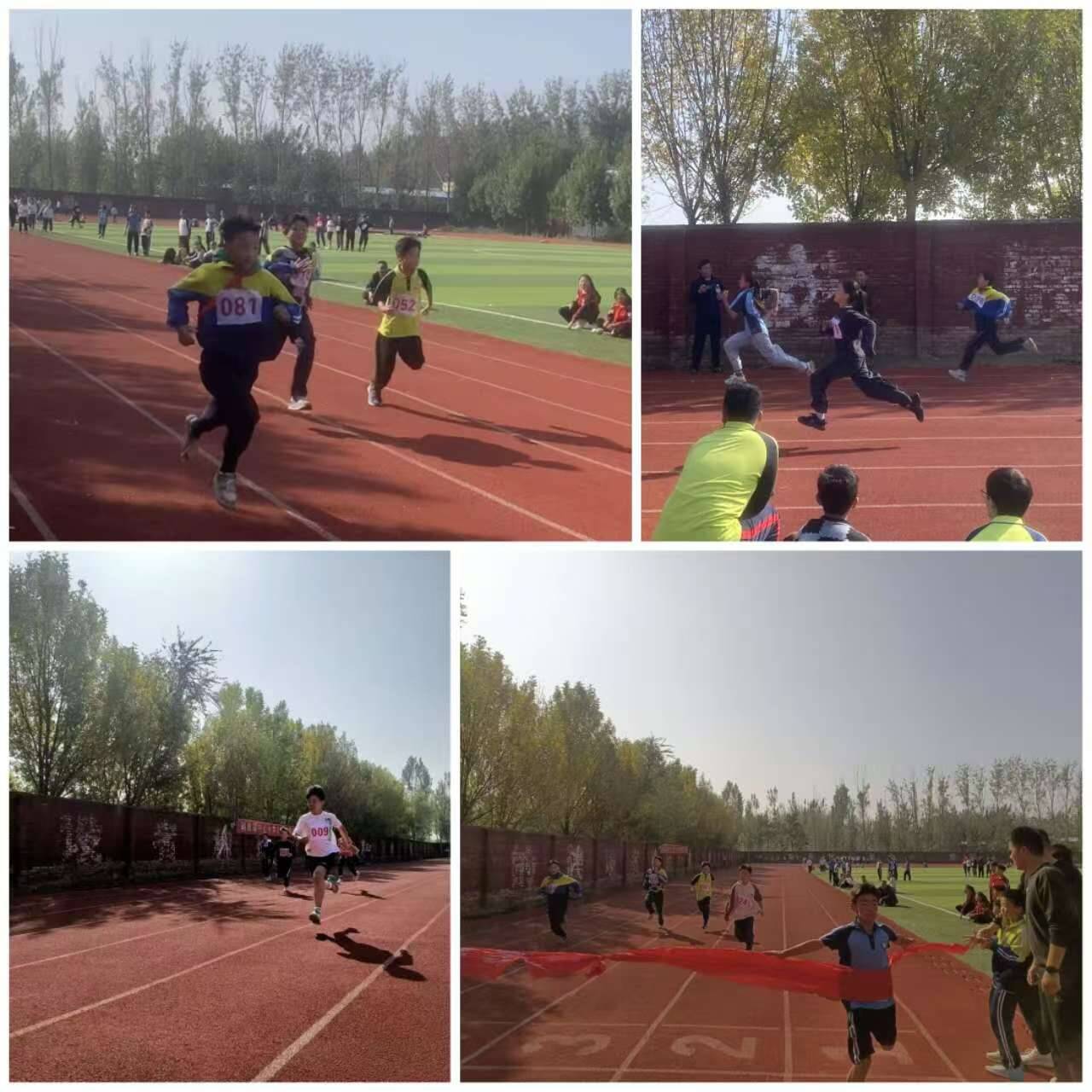 开云体育中国-激情四射！运动员挑战自我，展现拼搏精神的简单介绍