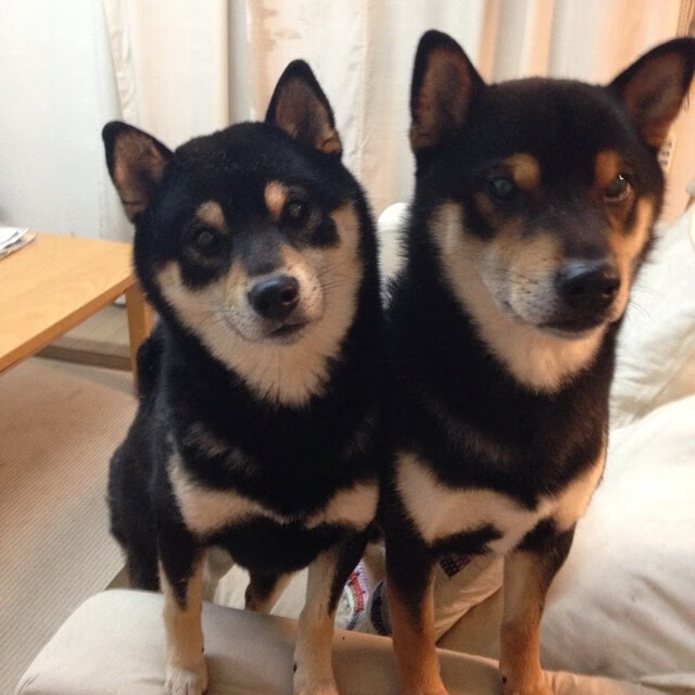 绿茵与赛道，卡塔尔鏖战利物浦，奥亚尔萨瓦尔F1街道赛主宰风云