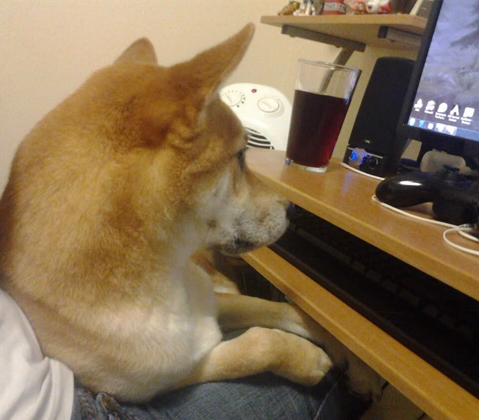 绿茵上的孤星,当萨拉赫的价值照见威尔士与伊朗的鏖战