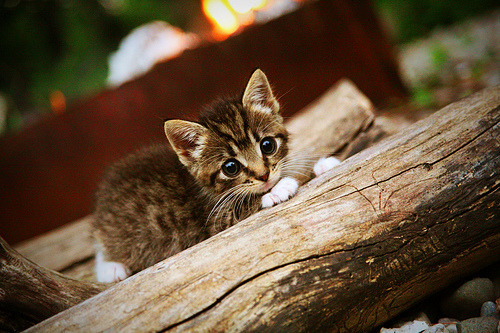 开云体育-强行终结！英格兰碾过奥地利，拉亚再证硬仗之王威名