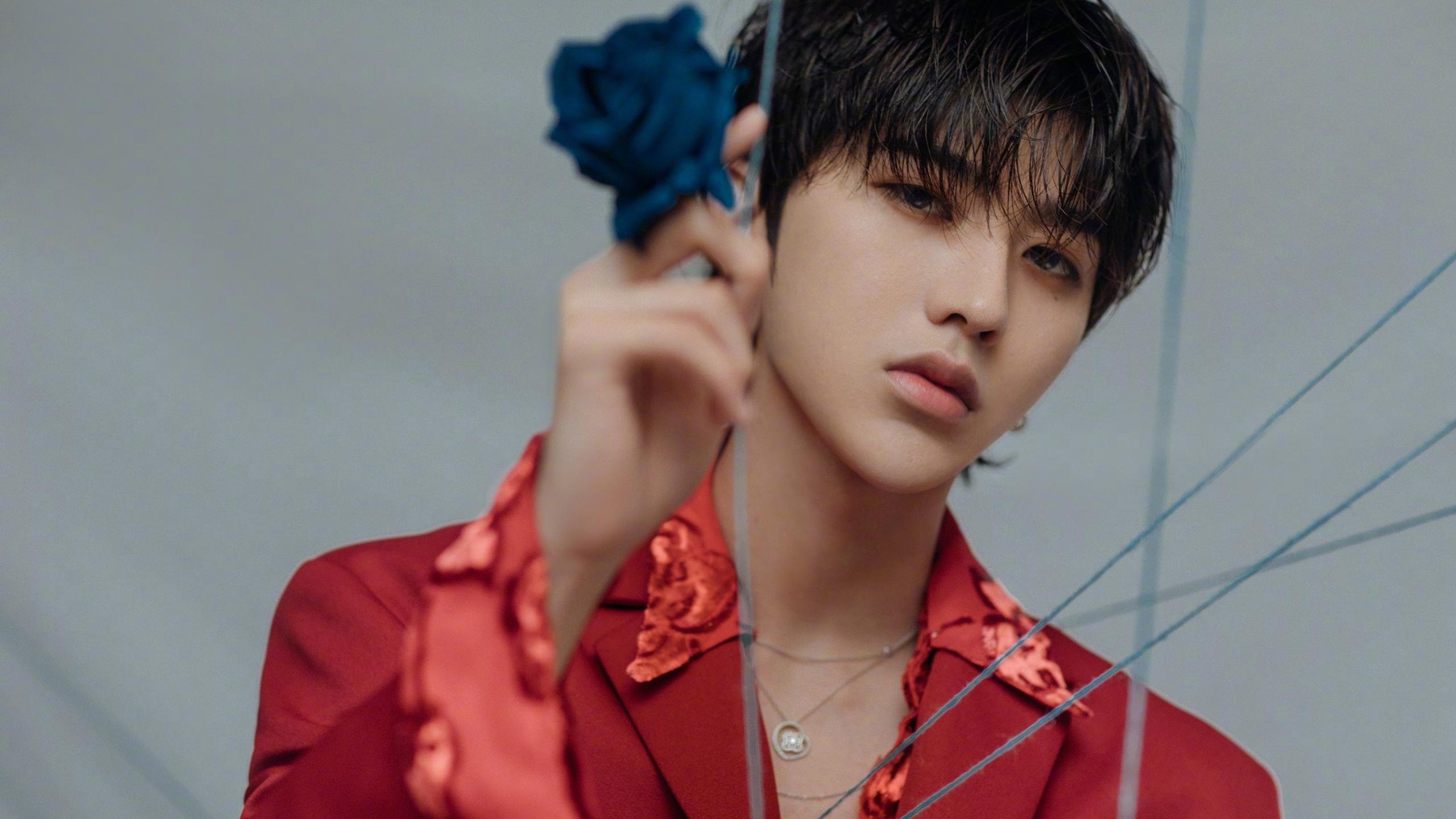 节奏之王与铁血之师,布克的艺术与灰熊的暴力美学