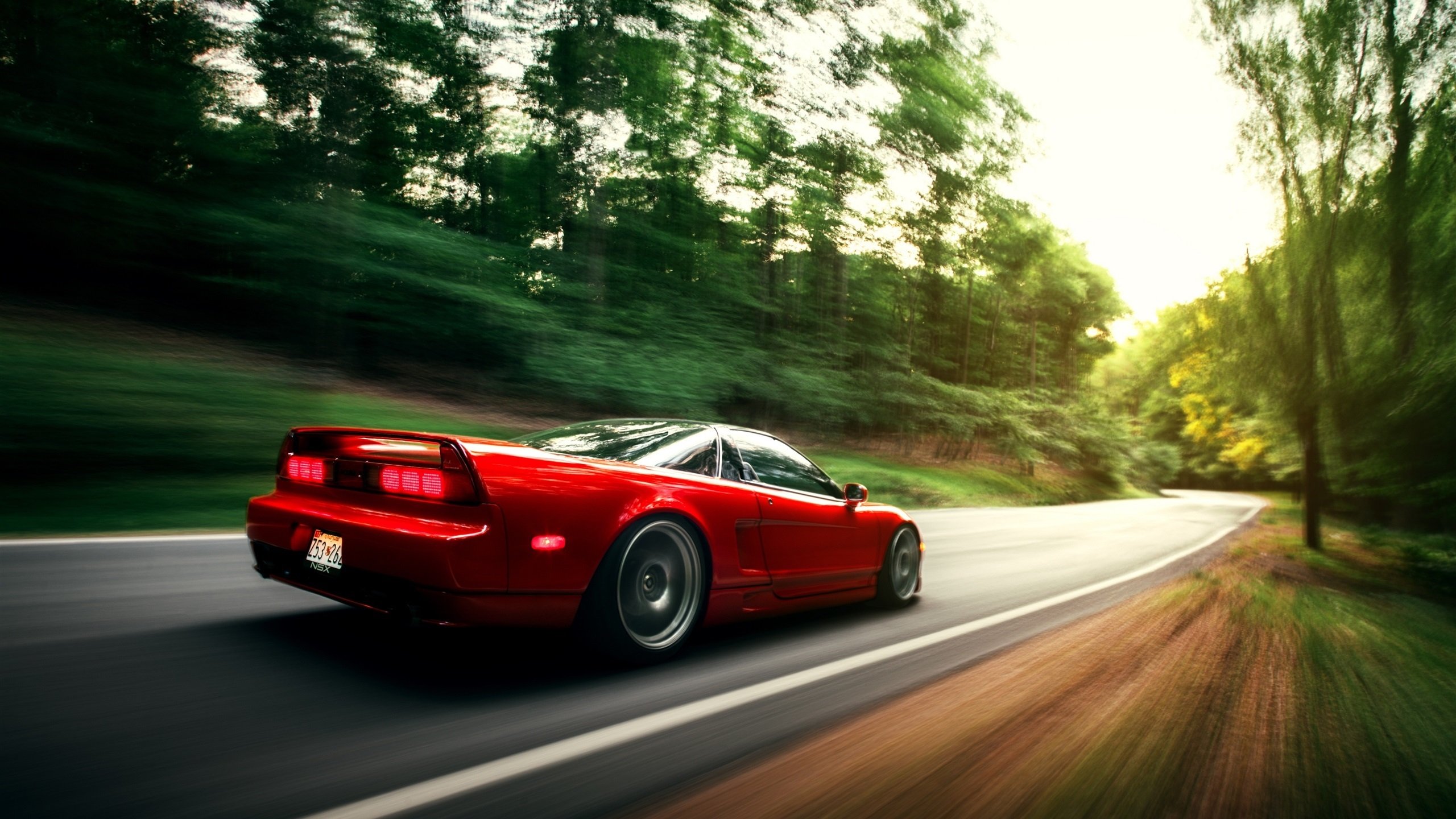 开云体育入口-当卢卡库用身体书写战术板，威尔士在泥泞中开出坚韧之花