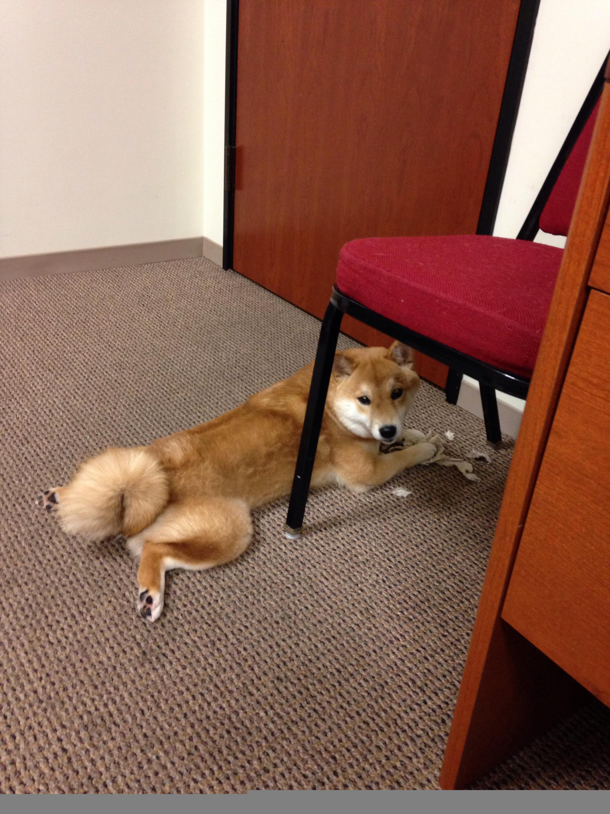 开云体育APP下载-舞台上的巨人，巴尔韦德越大越强，土耳其轻取中国背后的足球哲思