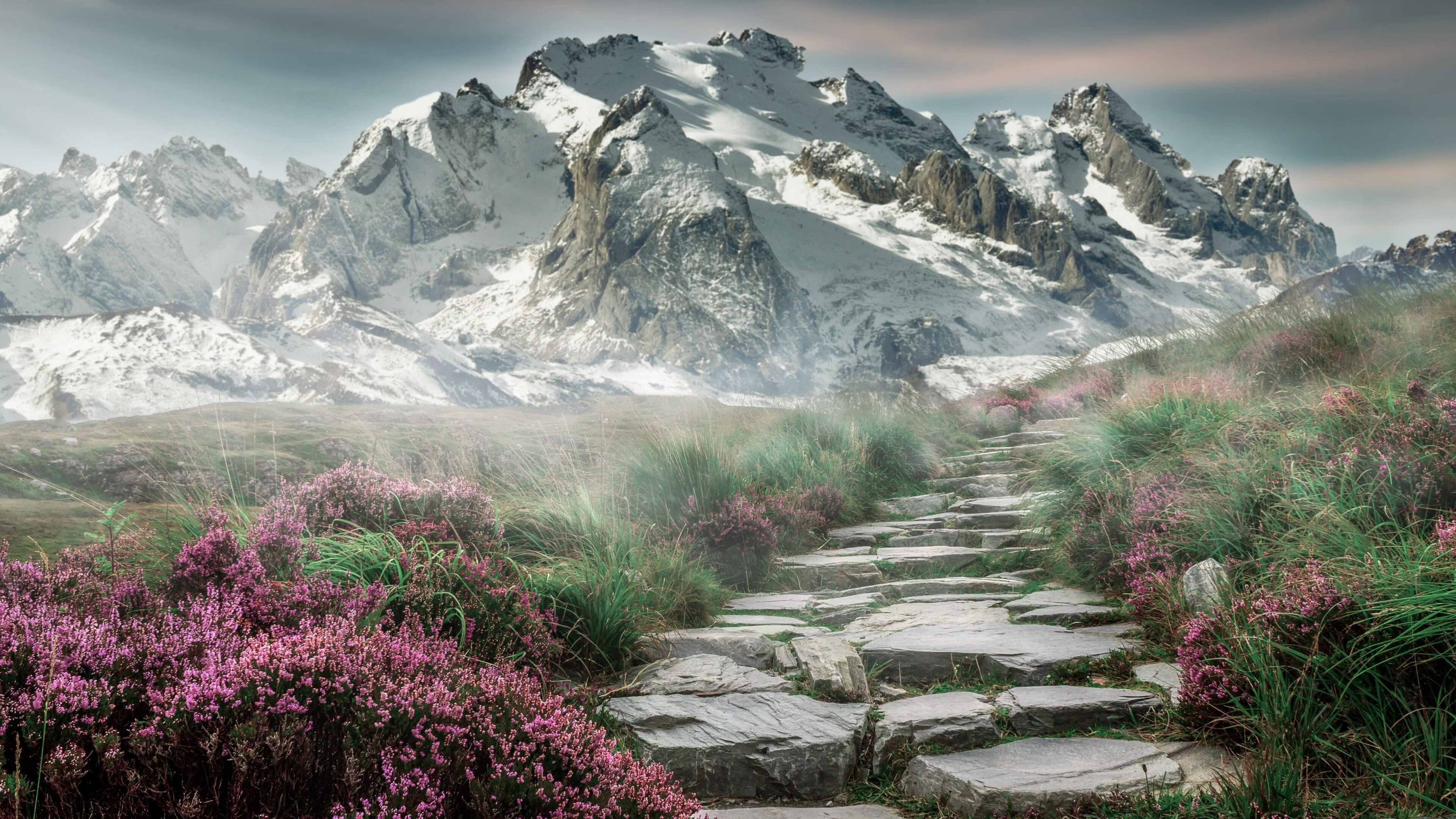 开云体育下载-跨域狂胜与接管，当开拓者轰塌王权，哈利伯顿在绿茵场加冕