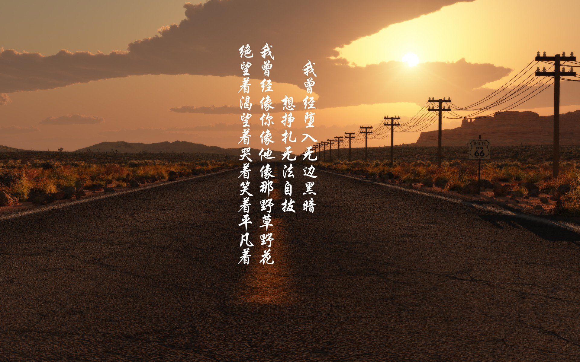 奥斯梅恩一锤定音显神威,玻利维亚高压战术克加拿大