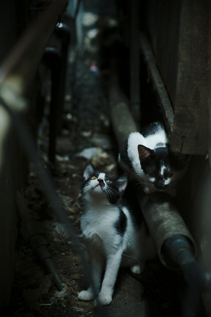 中国足球收割西班牙，凯恩关键先生铸就历史