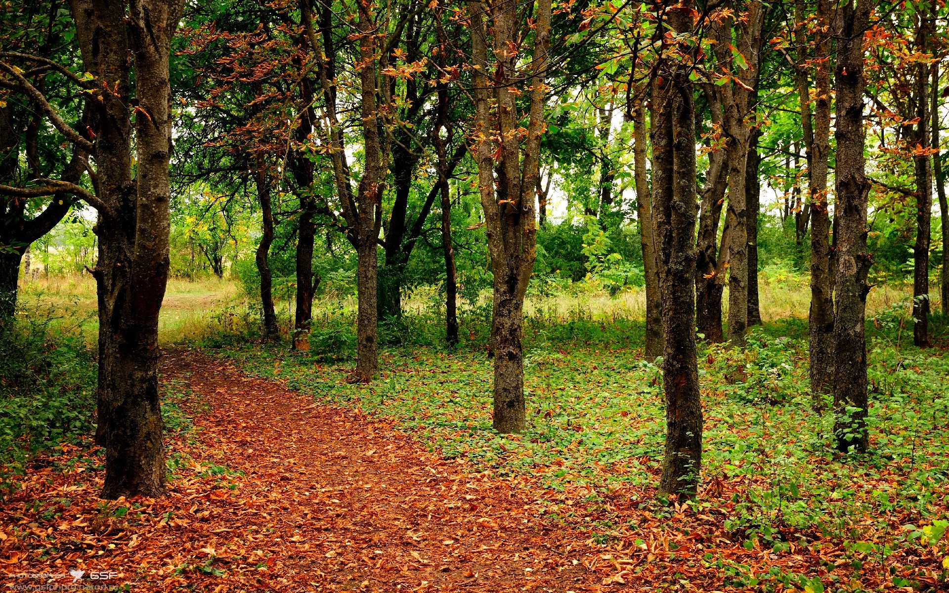 杜兰特惊艳四座,辽宁队强势拿下猛龙—篮球跨界对决的辉煌时刻