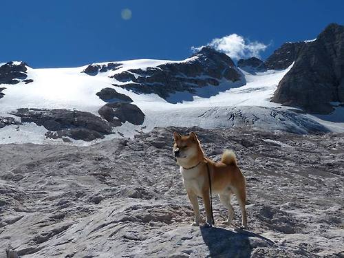 中流砥柱,戈贝尔在抢七之夜驱动全队节奏