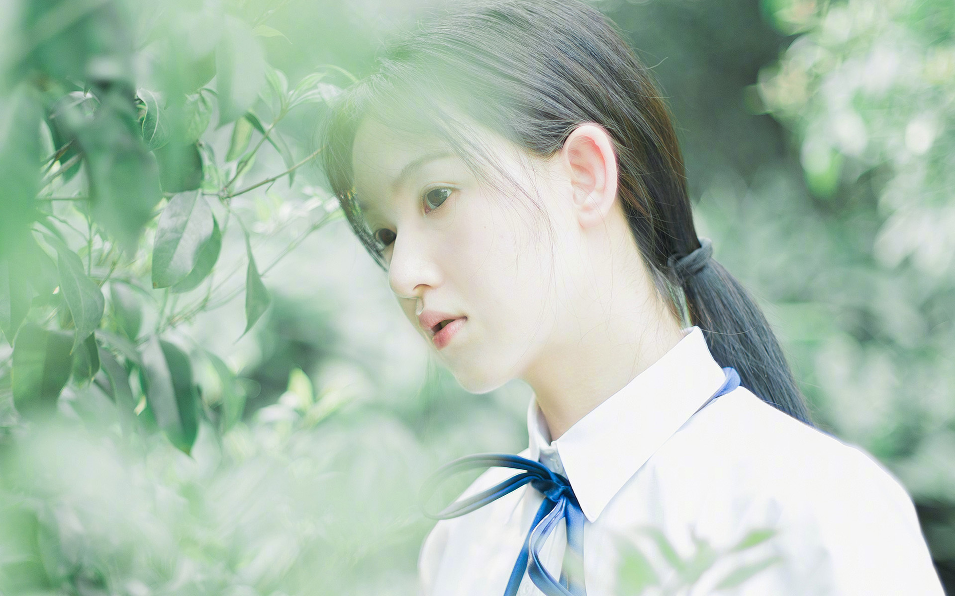 开云体育登录-艺术与终结，努涅斯如何用节奏为哥伦比亚写就完美终章