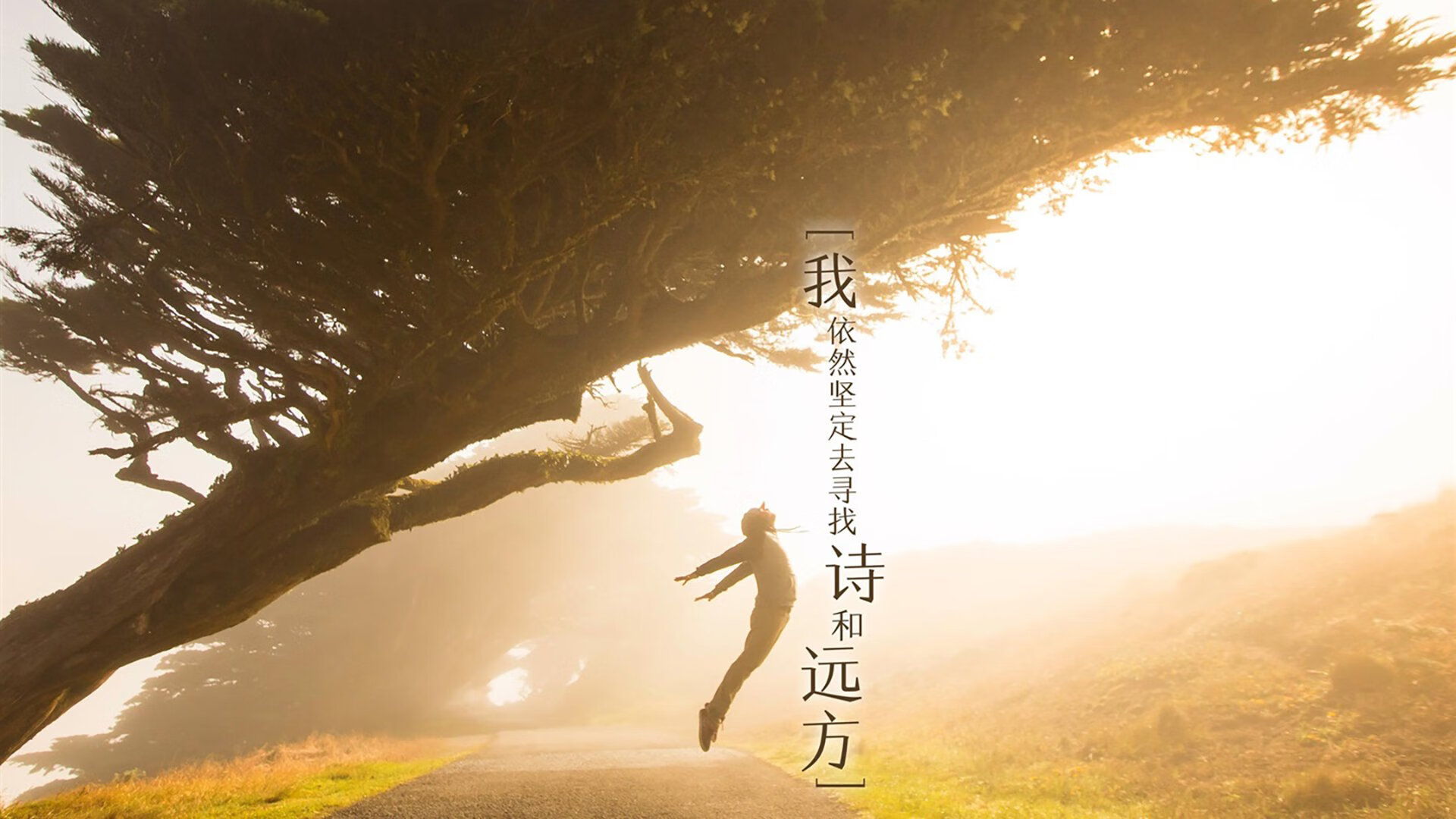 开云体育-月光下的新王，爱德华兹欧冠决赛夜加冕