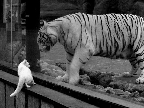 中国足球终结洪都拉斯，范戴克巨星价值引领时代