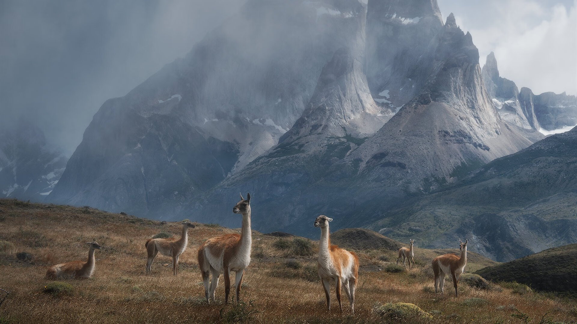 黑夜之王的节奏，孔德如何用一场抢七定义伟大
