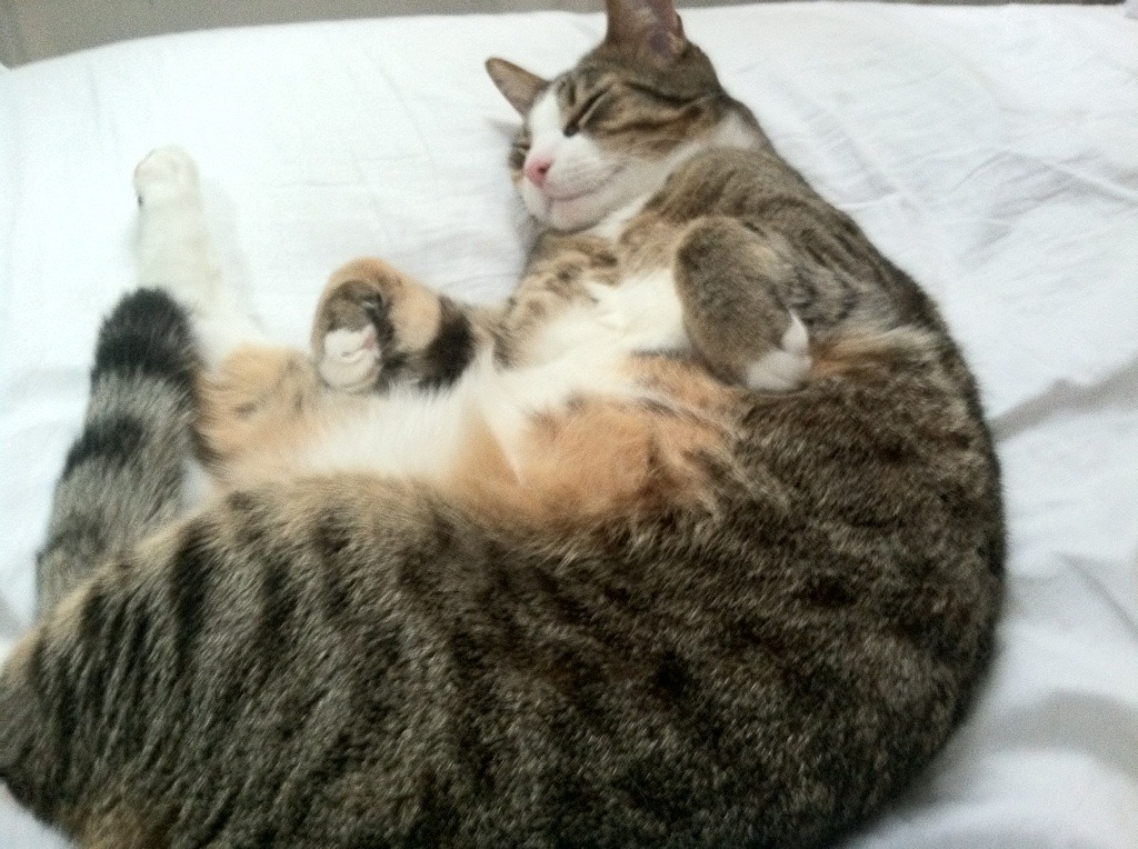 布鲁诺的爆发，莱比锡红牛如何用现代高位压迫，肢解了马德里竞技的经典盾牌