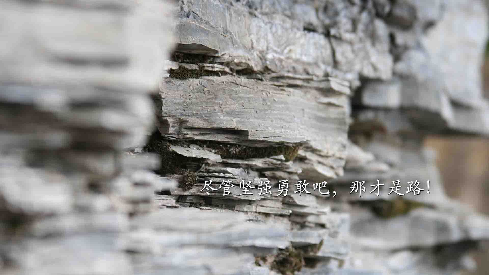 开云体育在线-双星闪耀，内马尔独舞引爆赛场，塞内加尔军团碾压安哥拉