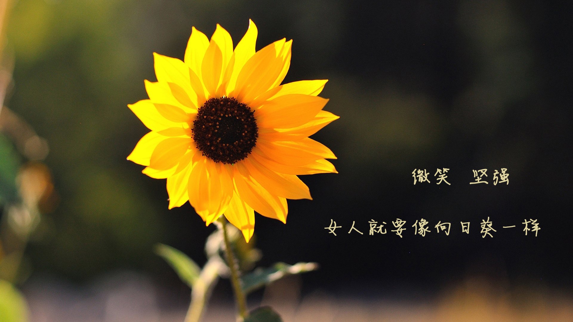 开云平台-那一刻，时间为他凝固，拉文用7记连续得分撕裂黑夜