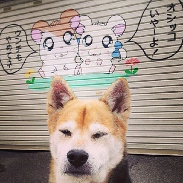 开云体育在线-富安健洋独木成林，勒沃库森破界力克南美劲旅的亚洲启示录