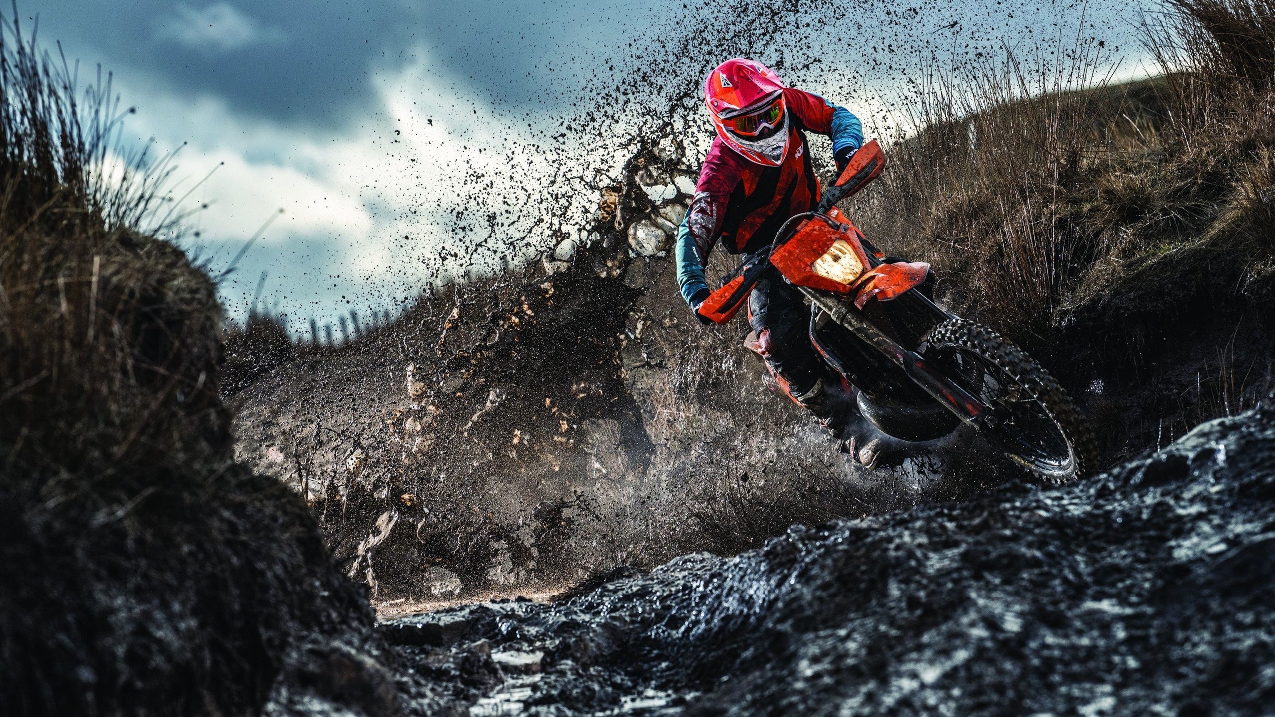 开云APP-王者无需加冕，东决之夜，塔图姆用篮球写下最有力的证明